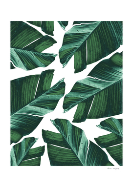 Tropical Banana Leaves Vibes #4 #foliage #decor #art