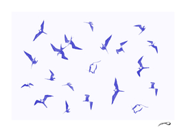 Blue frigatebirds by #Bizzartino