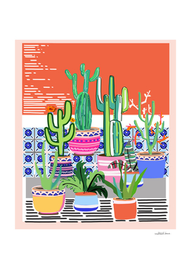 Cactus Window