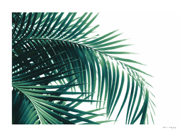 Palm Leaves Green Vibes #6 #tropical #decor #art
