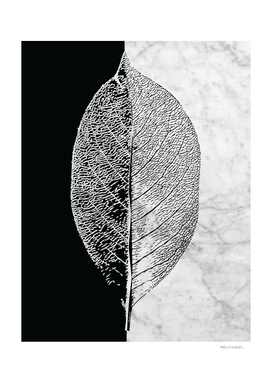 Natural Outlines - Leaf Black & White Marble #284