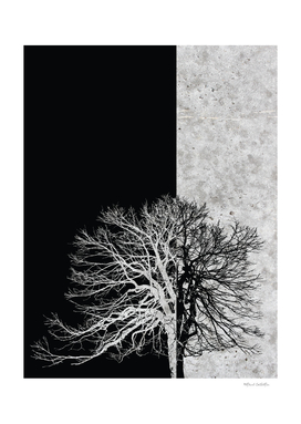 Natural Outlines - Tree Black & Concrete #295