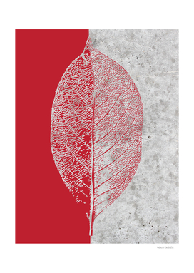 Natural Outlines - Leaf Red & Concrete #635