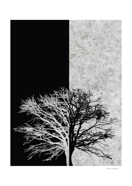Natural Outlines - Oak Tree Black & Concrete #402