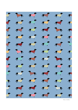 Dachshund Pattern with Blue Sweaters #708