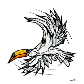 Toucan flying illustration