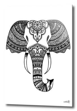 Elephant Illustration/Drawing