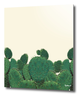 Wall Of Cacti