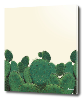 Wall Of Cacti