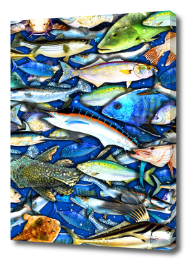 Deep Saltwater Fishing Collage