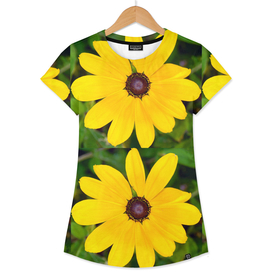 Pop Sunflowers