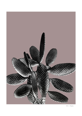 Black Mauve Cactus #1 #plant #decor #art