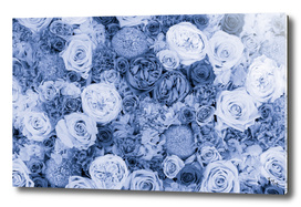 bouquet ver.blue