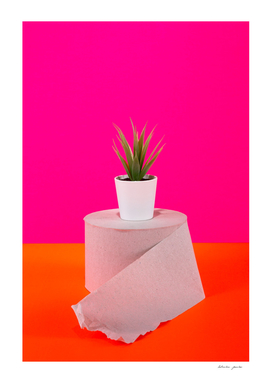 Roll of toilet paper with cactus on a colored background