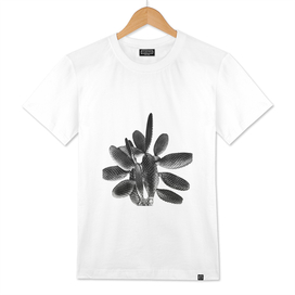 Black White Cactus #1 #plant #decor #art