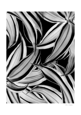 Dracaena Tropical Leaves Pattern Black & White #1 #tropical