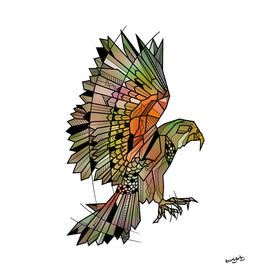 Kea Flying Parrot