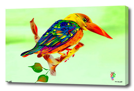 kingfisher Bird 1