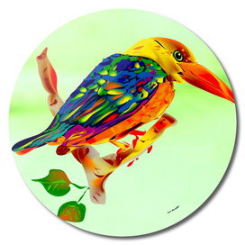 kingfisher Bird 1