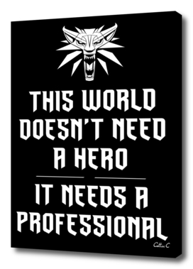 Professional, not a Hero