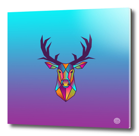 Deer | Colorful Wild Life Animals