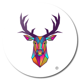 Deer | Colorful Wild Life Animals