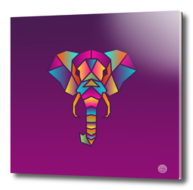 Elephant | Colorful Wild Life Animals