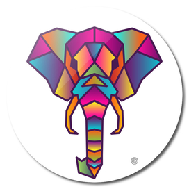 Elephant | Colorful Wild Life Animals