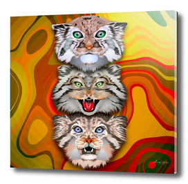 Trio cats art poster