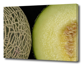 netted melon