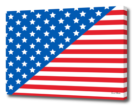 USA flag texture