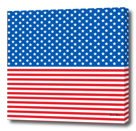 USA flag texture