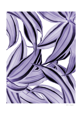 Dracaena Tropical Leaves Pattern Ultra Violet #1 #tropical