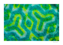 Abstract green pattern facric texture