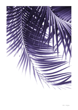 Palm Leaves Ultra Violet Vibes #2 #tropical #decor #art