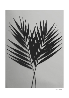 Palm Leaves #5 #foliage #decor #art