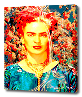 Frida FLASH