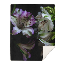 Floral bouquet. Purple and white flowers