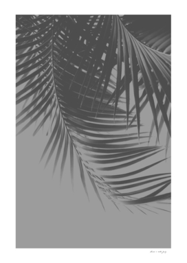 Palm Leaves Gray Vibes #1 #tropical #decor #art