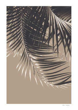Palm Leaves Sepia Vibes #2 #tropical #decor #art