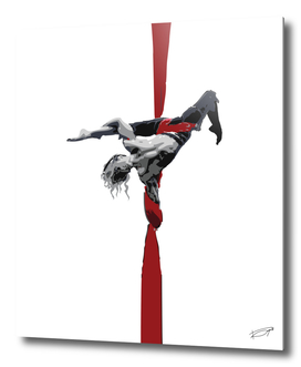 Aerial Silk circus art