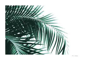 Palm Leaves Green Vibes #8 #tropical #decor #art