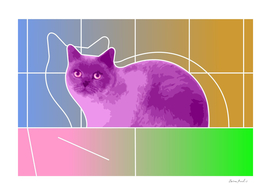 Neon Purple Cat On Colorful Background