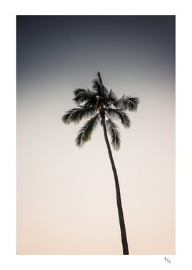 palmtree ver.beige