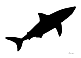 shark silhouette