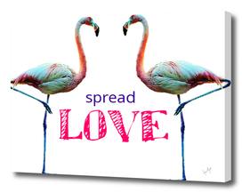 Flamingo Spread Love Quote