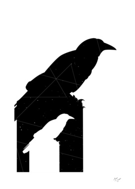 Crow Math - Black