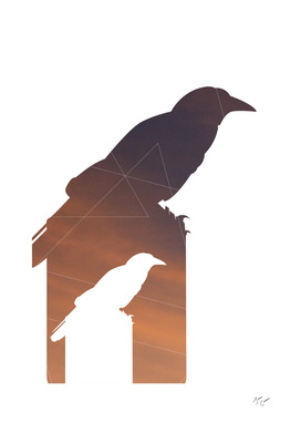 Crow Math – Sunset