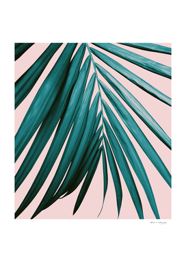 Palm Leaf Delight #1 #tropical #decor #art
