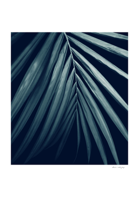 Palm Leaf Delight #2 #tropical #decor #art